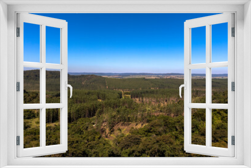 Fototapeta Naklejka Na Ścianę Okno 3D - view of eucalyptus plantation, with vegetation and mountains in the background.