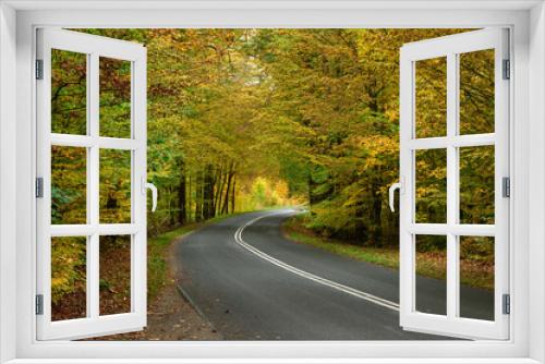 Fototapeta Naklejka Na Ścianę Okno 3D - Asfaltowa droga w liściastym, bukowym lesie. Pobocze pokrywa warstwa brązowych liści. Jest jesień część liści przybrała żółty i brązowy kolor.
