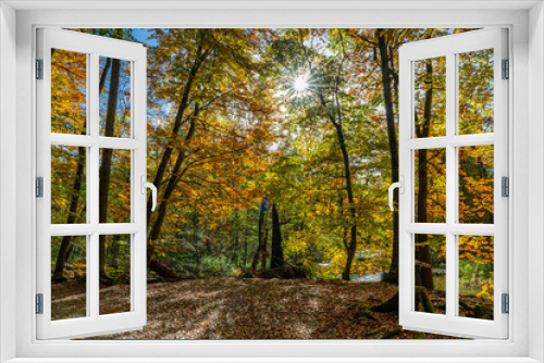 Fototapeta Naklejka Na Ścianę Okno 3D - Herbststimmung an der Würm zwischen Mühltal und Gauting