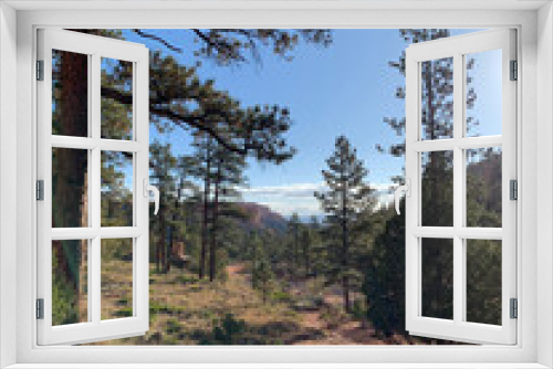 Fototapeta Naklejka Na Ścianę Okno 3D - Arbres à Bryce Canyon aux Etats-Unis