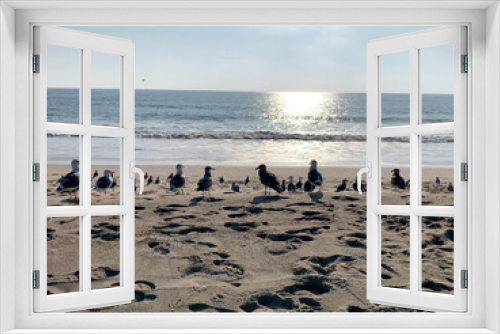 Fototapeta Naklejka Na Ścianę Okno 3D - Plage de Venice Beach en Californie