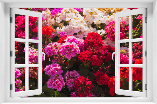 Fototapeta Naklejka Na Ścianę Okno 3D - Beautiful background of white, red, pink and green flowers background