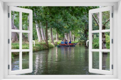 Fototapeta Naklejka Na Ścianę Okno 3D - Beauté du Marais poitevin, lors d'une promenade en barque au départ de Coulon