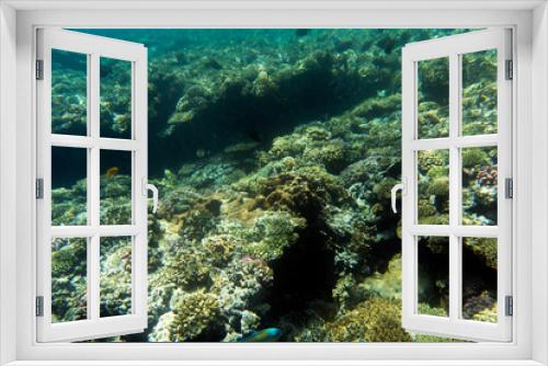 Fototapeta Naklejka Na Ścianę Okno 3D - A landscape of coral reef