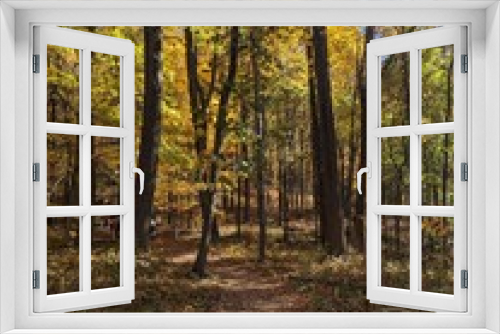 Fototapeta Naklejka Na Ścianę Okno 3D - Foliage in Breakneck Ridge, Cold Spring, New York - October 2023