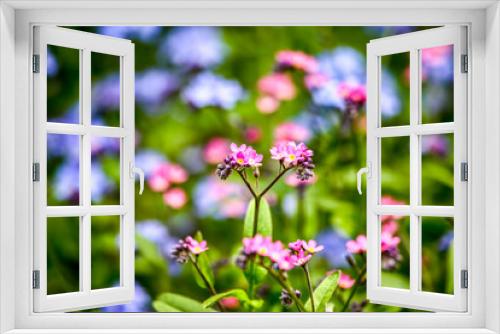 Fototapeta Naklejka Na Ścianę Okno 3D - Spring floral background. Flowers in spring. HDR Image (High Dynamic Range).
