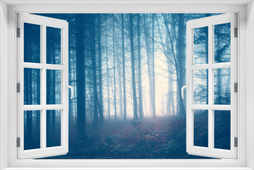Fototapeta Naklejka Na Ścianę Okno 3D - Spooky vintage color forest