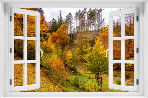 Fototapeta Naklejka Na Ścianę Okno 3D - Herbstliche Wanderung durch den Spittergrund bei Tambach-Dietharz zum Wasserfall  - Thüringer Wald - Thüringen - Deutschland
