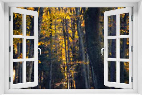 Fototapeta Naklejka Na Ścianę Okno 3D - Jesienny pejzaż. Kolorowe jesienne liście na drzewach
