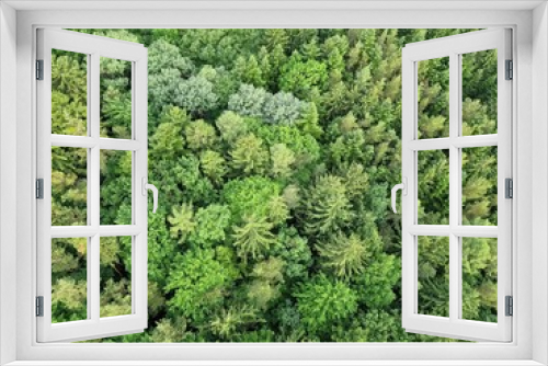 Fototapeta Naklejka Na Ścianę Okno 3D - Wald von oben (Vogelperspektive)