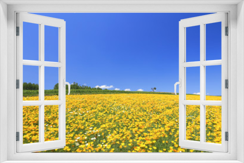 Fototapeta Naklejka Na Ścianę Okno 3D - 四季彩の丘の花畑