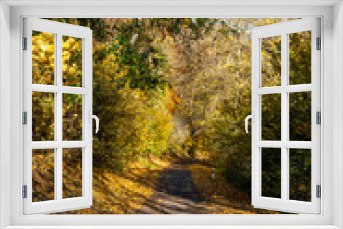 Fototapeta Naklejka Na Ścianę Okno 3D - herbstliche Impressionen Herbst im Harz Selketal