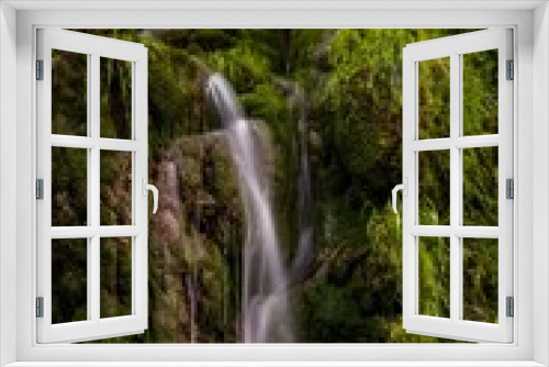 Fototapeta Naklejka Na Ścianę Okno 3D - Small waterfall cascading down into a tranquil forest-like habitat