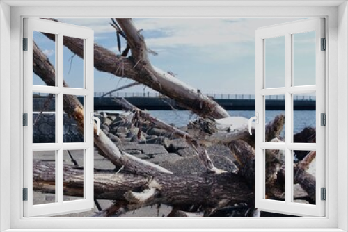 Fototapeta Naklejka Na Ścianę Okno 3D - 海辺に漂着した流木