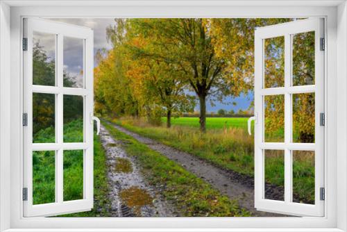 Fototapeta Naklejka Na Ścianę Okno 3D - Herbst im Drömling