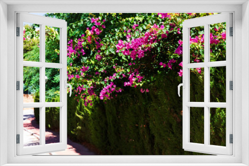 Fototapeta Naklejka Na Ścianę Okno 3D - Beautiful and colorful sunny Spanish vegetation and architecture in Mijas, Andalusia, Spain