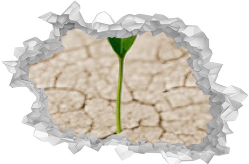 A young plant grows on dried soil. Close-up illustration.