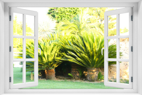 Fototapeta Naklejka Na Ścianę Okno 3D - Beautiful landscaping in garden