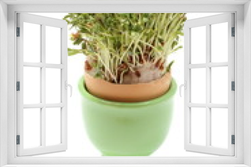 Fototapeta Naklejka Na Ścianę Okno 3D - Fresh green watercress in green cup. White background