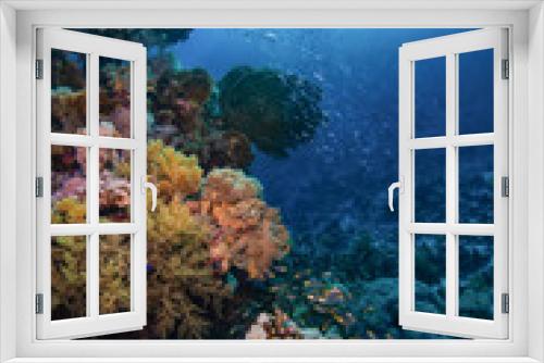 Fototapeta Naklejka Na Ścianę Okno 3D - School of reef fish passing beautiful corals in the Red Sea