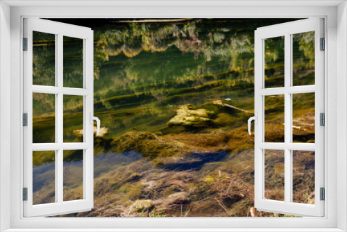 Fototapeta Naklejka Na Ścianę Okno 3D - Transparent river water with moss and reflection of the autumn forest