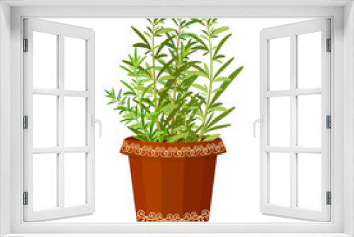 Fototapeta Naklejka Na Ścianę Okno 3D - Rosemary in a flower pot