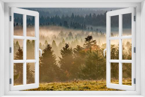 Fototapeta Naklejka Na Ścianę Okno 3D - drzewa we mgle