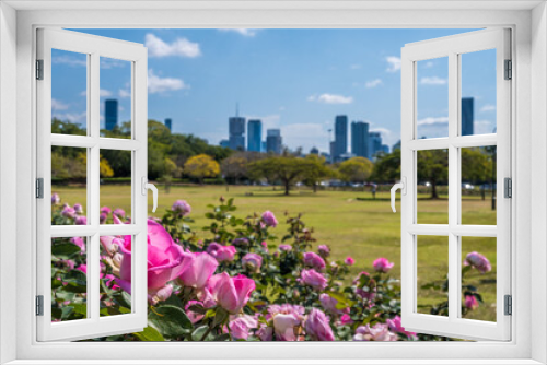 Fototapeta Naklejka Na Ścianę Okno 3D - Rose garden with Brisbane city skyline from New Farm Park.