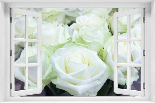 Fototapeta Naklejka Na Ścianę Okno 3D - Close-up of bright bunch of fresh big beautiful white roses
