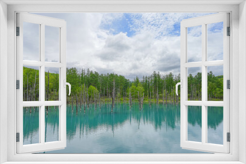 Fototapeta Naklejka Na Ścianę Okno 3D - 青い池