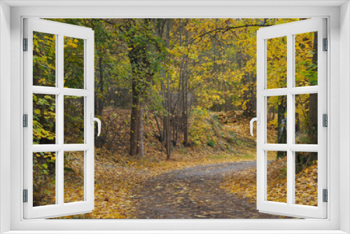 Fototapeta Naklejka Na Ścianę Okno 3D - Waldweg im Herbst mit buntem Laub