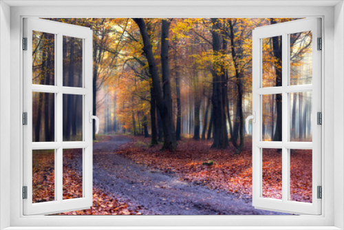 Fototapeta Naklejka Na Ścianę Okno 3D - Krajobraz jesienny w lesie, aleja jesienna wśród drzew