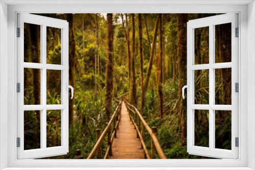 Fototapeta Naklejka Na Ścianę Okno 3D - forest in colombia
