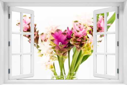 Fototapeta Naklejka Na Ścianę Okno 3D - Siam tulip or Curcuma flower in Thailand