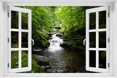 Fototapeta Naklejka Na Ścianę Okno 3D - Small waterfall in deep forest covered with green trees. Amazing landscape with a small waterfall in a forest with stone 