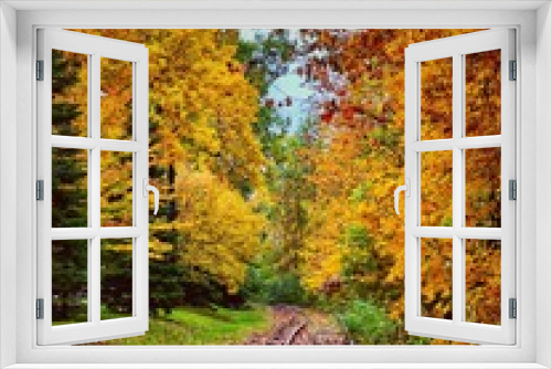 Fototapeta Naklejka Na Ścianę Okno 3D - Vertical shot of old railroad tracks between the colorful autumn trees