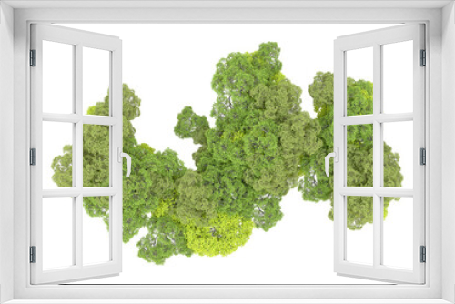 Fototapeta Naklejka Na Ścianę Okno 3D - Green forest isolated on transparent background. 3d rendering - illustration
