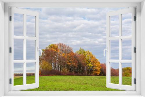 Fototapeta Naklejka Na Ścianę Okno 3D - Picturesque autumn landscape with a group of trees in autumn colors in the middle of a green field