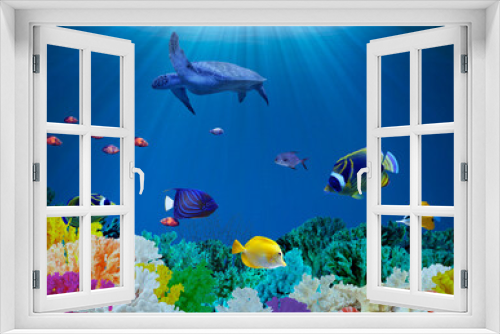 Fototapeta Naklejka Na Ścianę Okno 3D - Beautiful corals, different fishes and turtle in sea. Underwater world