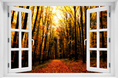 Fototapeta Naklejka Na Ścianę Okno 3D - A dark forest in autumn
