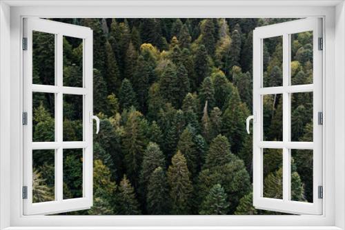 Fototapeta Naklejka Na Ścianę Okno 3D - autumn forest texture top view