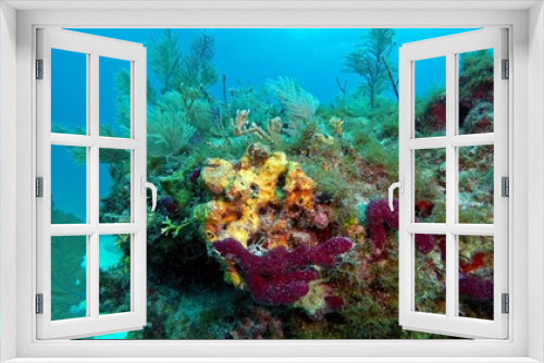 Fototapeta Naklejka Na Ścianę Okno 3D - Beautiful shot of a stunning coral reef located in clear water at the ocean