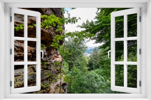 Fototapeta Naklejka Na Ścianę Okno 3D - Rocky slope with uneven wall, trees with green foliage on valley in background, mountain in Teufelsschlucht nature reserve, grooves of different shapes of erosions, sunny day in Irrel, Germany