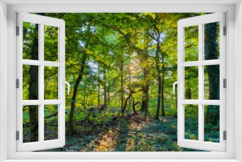 Fototapeta Naklejka Na Ścianę Okno 3D - Bavarian Summer Forrest