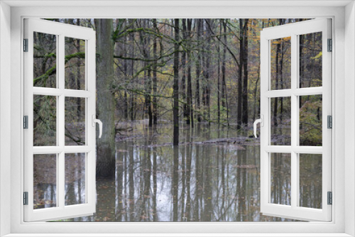 Fototapeta Naklejka Na Ścianę Okno 3D - Thema: Hochwasser