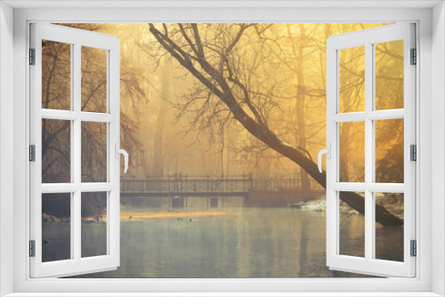 Fototapeta Naklejka Na Ścianę Okno 3D - Krajobraz zimowy, mroźny poranek w parku