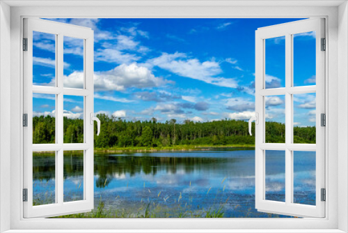 Fototapeta Naklejka Na Ścianę Okno 3D - Road side Elk Island National Park Alberta Canada