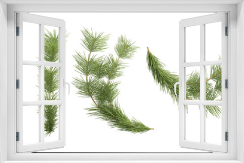 Fototapeta Naklejka Na Ścianę Okno 3D - grass isolated christmas on white background
