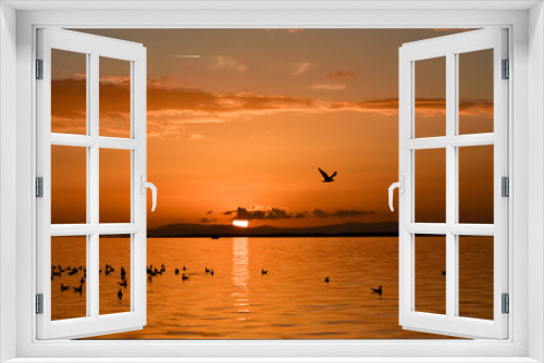 Fototapeta Naklejka Na Ścianę Okno 3D - Sunset on a sea.  Seagulls flying and swimming on the sea, silhouette