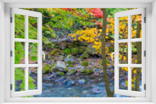 Fototapeta Naklejka Na Ścianę Okno 3D - 紅葉と渓流